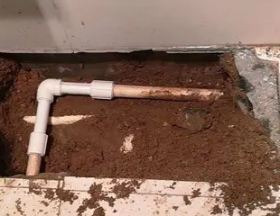 西岗测漏水哪家好