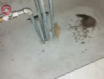 西岗卫生间测漏水价格明细